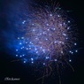 夏の風物詩（花火Ⅱ）