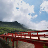 赤城神社 (4)