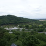あしかがフラワーパーク遠景