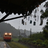 雨の中