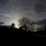 shadow