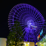 EXPOCITY～REDHORSE OSAKA WHEEL～