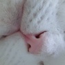 最近、毛穴が気になる。