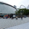 広島にマジックとはね