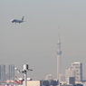 スカイツリーとJAL