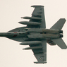 VAQ-141 NF-500 EA-18G Growler