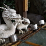 手水舎_龍_田無神社