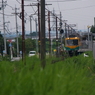 来たよ、来た来た~電車へ心が弾む♪