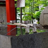 手水舎_東伏見稲荷神社