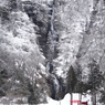 山形_白糸の滝