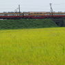 二階建て電車も通るよ(^▽^)/