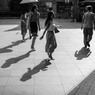 影も汗をかく西日
