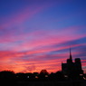 DSC_4075