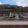 たぬきの駅