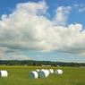 干し草ロールのある風景　Ⅰ
