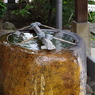 手水舎_麻布氷川神社