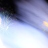 筑後川花火大会