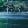 秋風そそぐ小沼