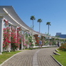 快晴の薔薇園 7