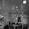 DSCF0631