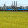 水色電車だよ♪
