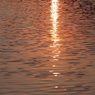 IMG_0566