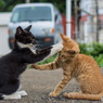 ダメよ