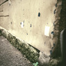 Lomography workshop (19)