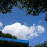 夏休みの空