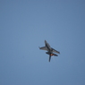 2017 三沢基地航空祭 前日予行 F-16