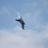 2017 三沢基地航空祭 F-2
