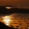 輝く虫明湾