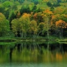 Autumn story