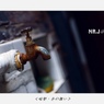 暗闇、色の舞い (10)