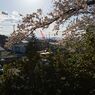 DSC_1706-1_624