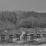 Lost ruins