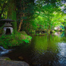 夏の緑(岐阜公園)