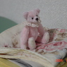 DSC00002