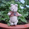 DSC00002