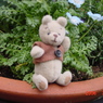 DSC00005