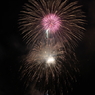 シーサイドフェスティバル2010