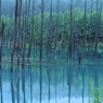 青い池