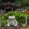 彼岸花・３