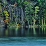 Lakeside autumn