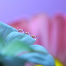 秘境