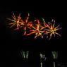 夜空に咲く花