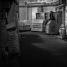 野良猫の気持ち