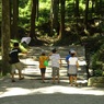 ぼくらの夏休み