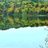 Autumn of 9:00AM