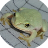 aonor110810